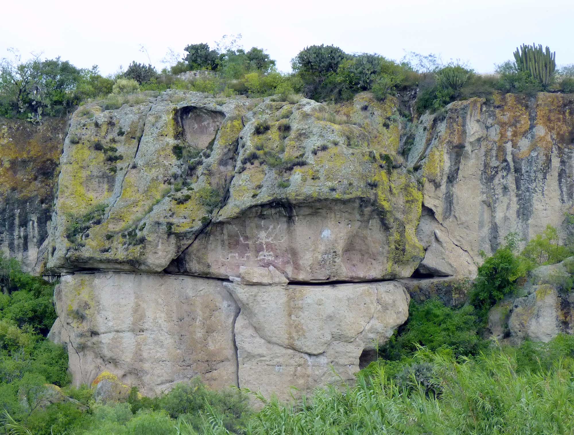 Photograph of Guilá Naquitz cave in Oaxaca, Mexico. The photo shows a rock bluff with sparse petroglyphs high off the ground. Vegetation occurs at the base and on top of the bluff.