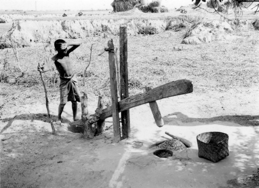 Black and white photograph of a boy or young man in Burma using a wooden machine to pound and hull rice in 1945. The machine is a horizontal wooden bar attached to two upright legs. The horizontal wooden bar has a peg in one end. The bar is moved up and down using the foot, which moves the wooden peg in and out of a hole filled with rice. The peg pounds the rice to remove the hulls.