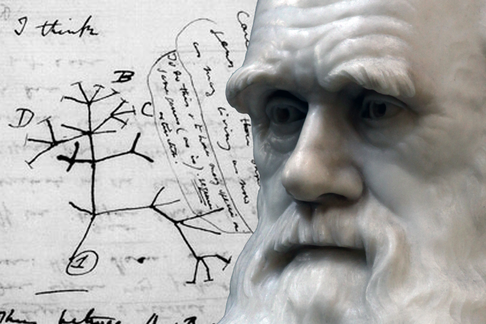 Composite image of the face of a marble statue of Charles Darwin superimposed over a page from one of Darwin's notebooks showing a sketch of an evolutionary tree.