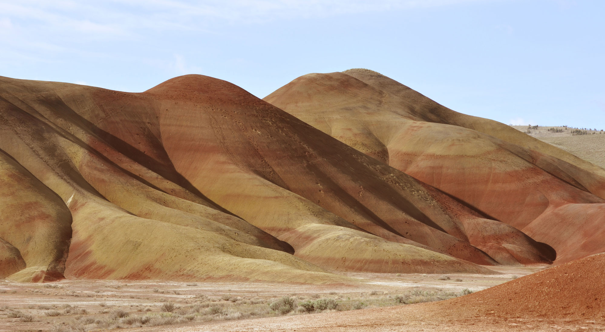 Photograph of the Painted Hills, a Cenozoic deposit in Oregon, U.S.A. The photo shows badlands with almost no vegetation, only some plants growing in the flat area at their base. The sediments of the badlands show bands of red-orange and yellow.