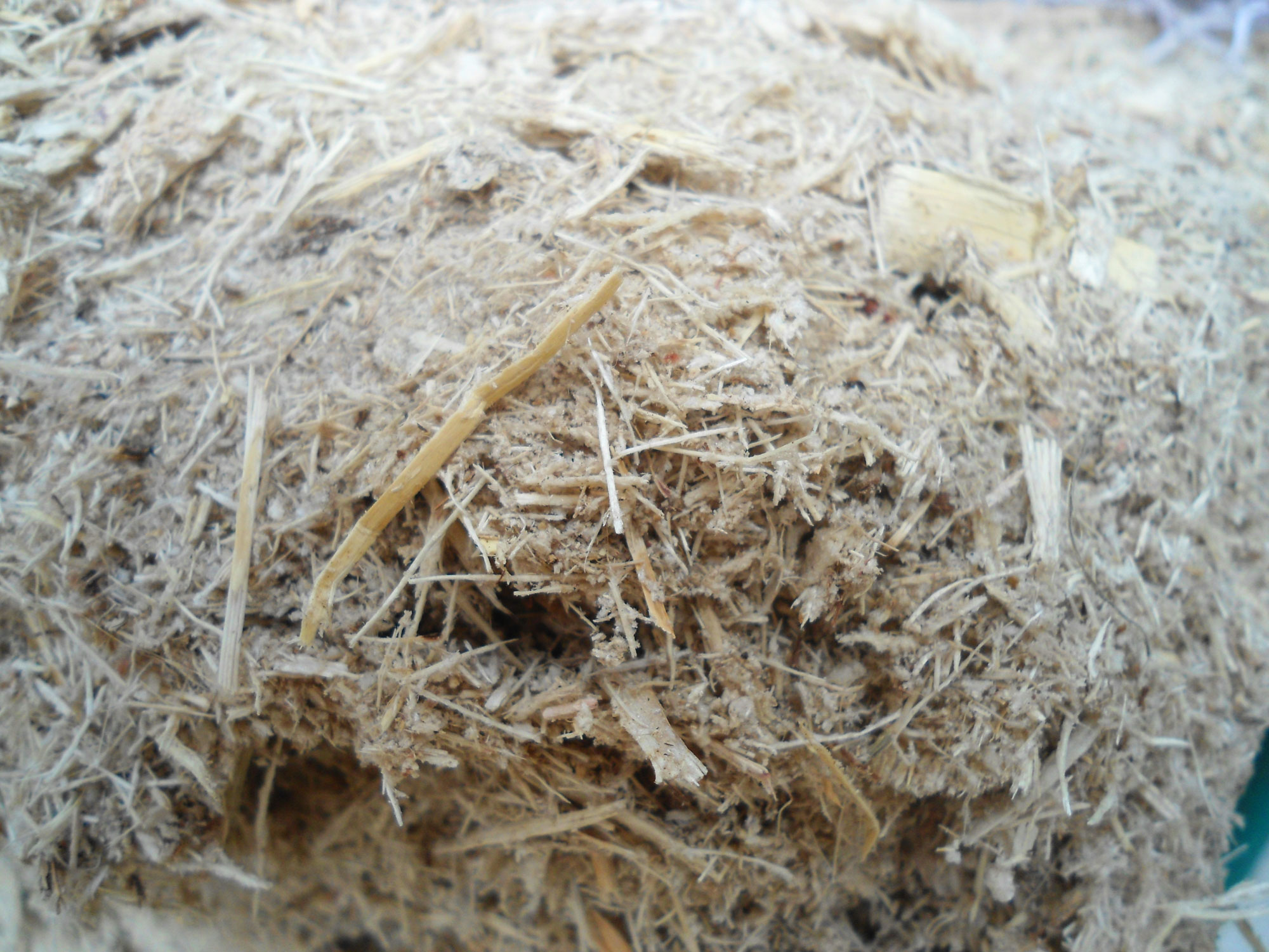Photograph of bagasse, sugarcane solids left over after the juice has been expressed. The photo shows tan, fibrous plant material.