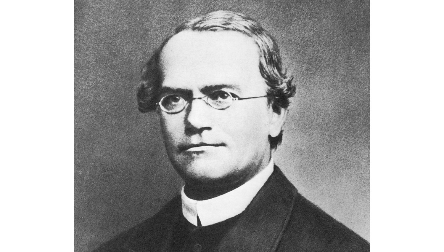 Black and white photographic portrait of Gregor Mendel.
