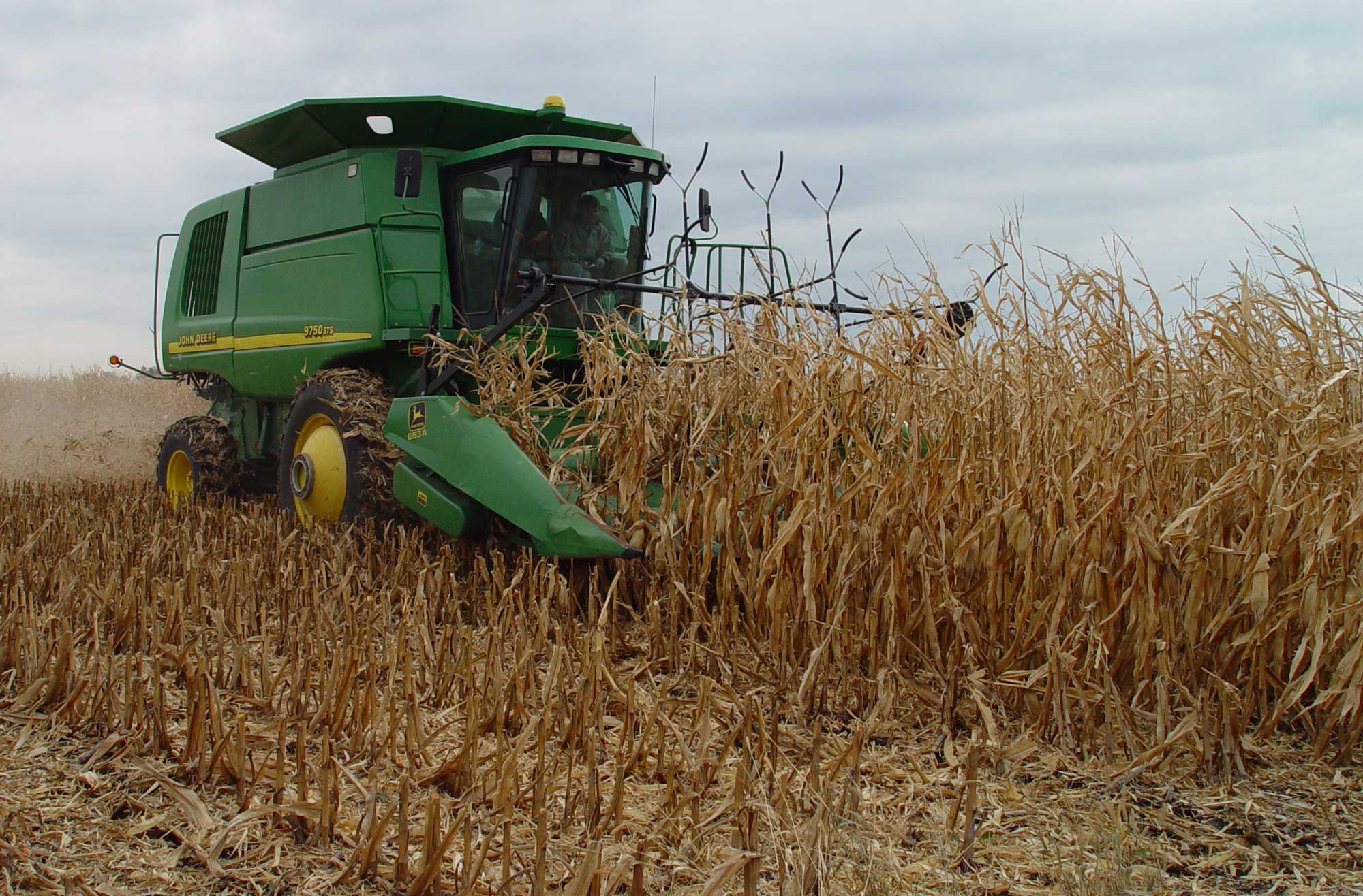 Photograph of a combine harvesting corn stover. The photo shows a rectangular green and yellow machine driving into rows of dried corn stalks. A harvested area with only corn stubble can be seen in the foreground.