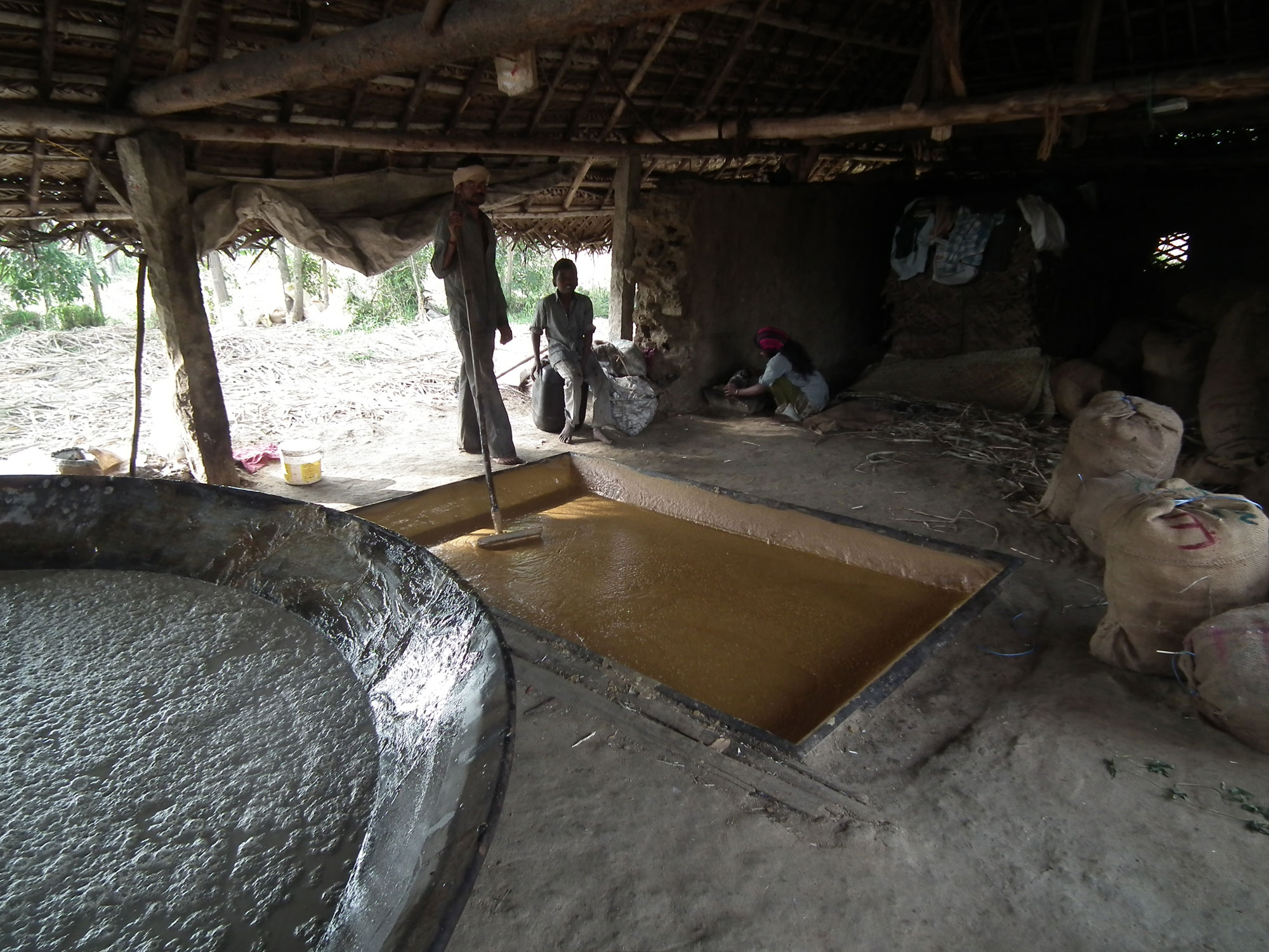 Photograph showing people making jaggery, a traditional type of minimally processed sugar, in Marayoor, India. Sugarcane syrup is cooking in a pan in the lower left corner of the image, whereas brown syrup that has been thickened by evaporation is sitting in a rectangular pan in the floor at the center of the image.