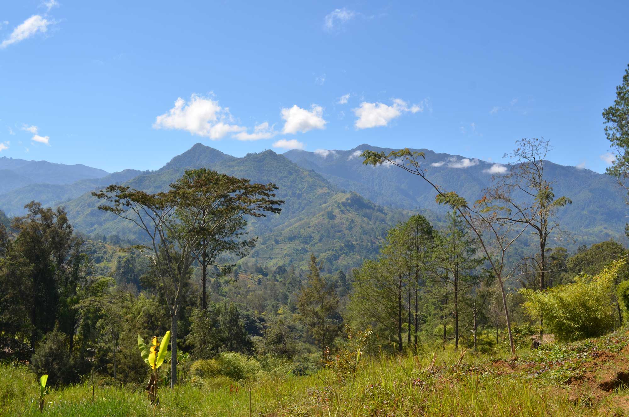 Photograph of the landscape of New Guinea. The photo shows a mountainous, forested landscape.