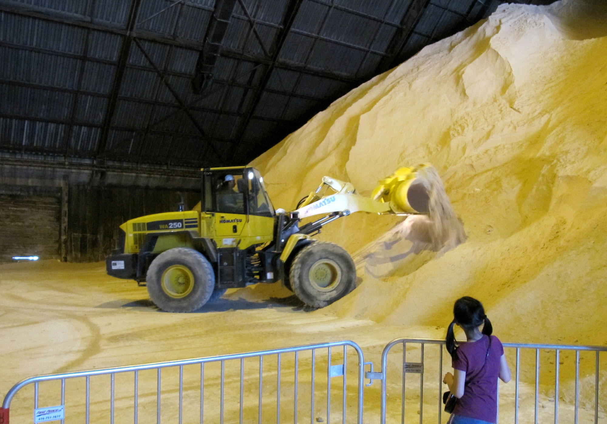 Photograph of a pile of raw sugar. A yellow front end loader scoops up some of the sugar in the pile. A girl in the foreground is watching the front-end loader operate from behind a metal barrier. 