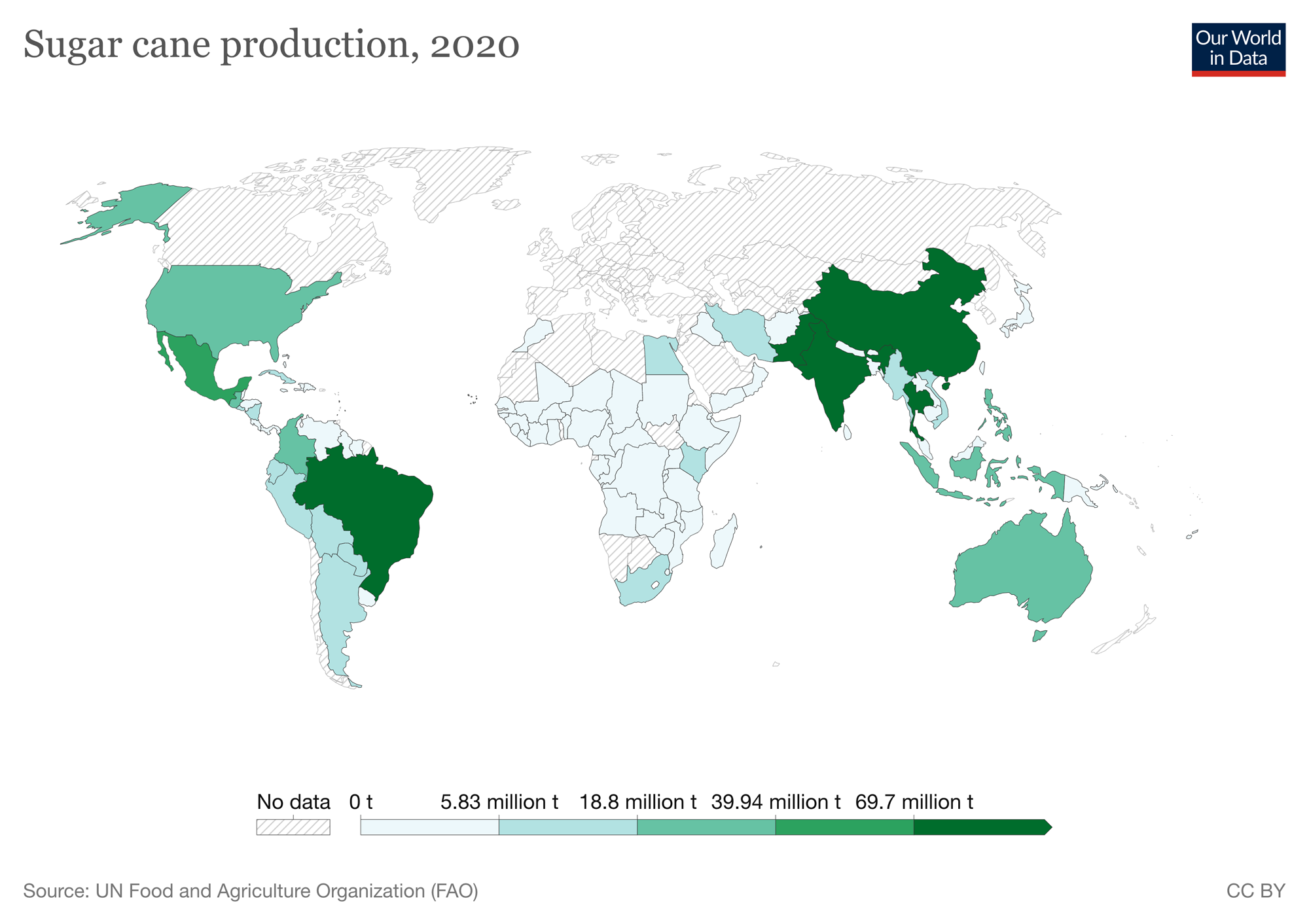 Where Is Sugar Cane Native To Sale Cdlguaiba br