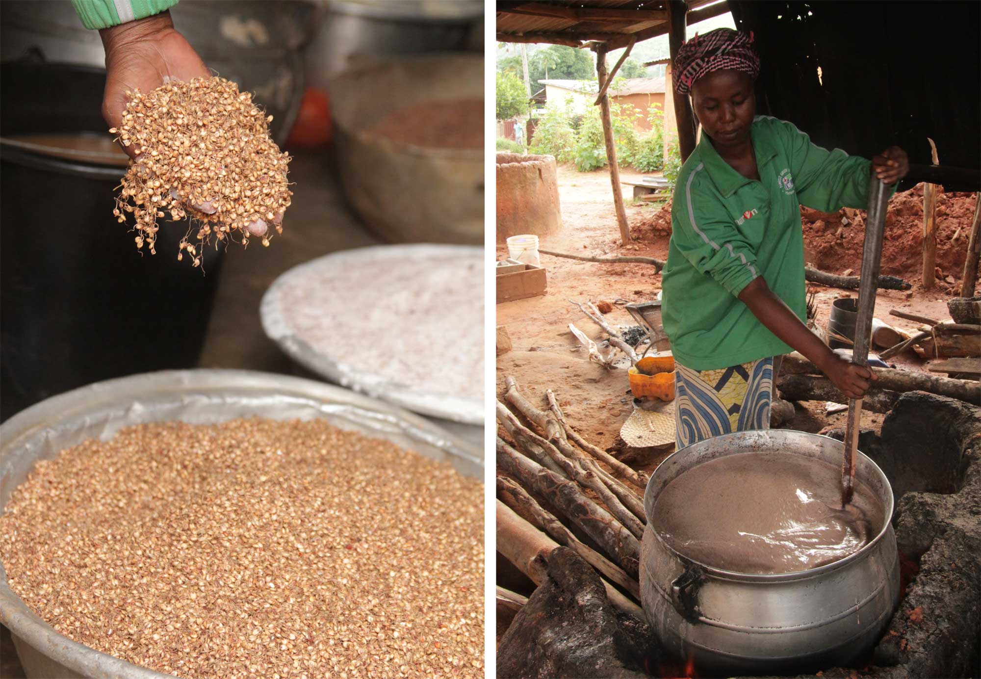 2-panel figure showing images of tchoukoutou brewing in Benin, Africa. Panel 1: A woman showing malted sorghum, sorghum that has been germinated and then dried. The grains are light brown and have roots coming out of them. Panel 2: A woman stirring tchoukoutou in a metal kettle. The tchoukoutou is an opaque brown liquid.