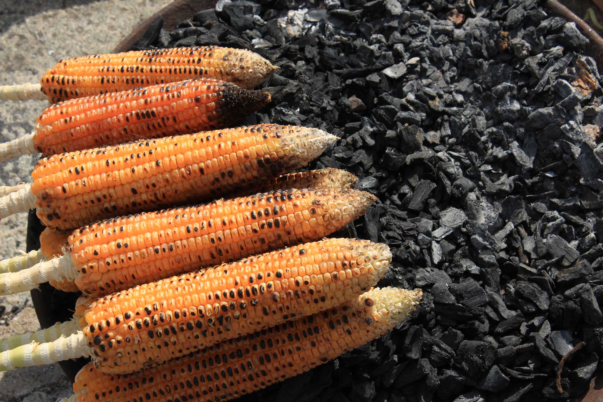 Photograph of bhutta, or corn on the cob roasting over a bed of black coals in Bangalore, India.