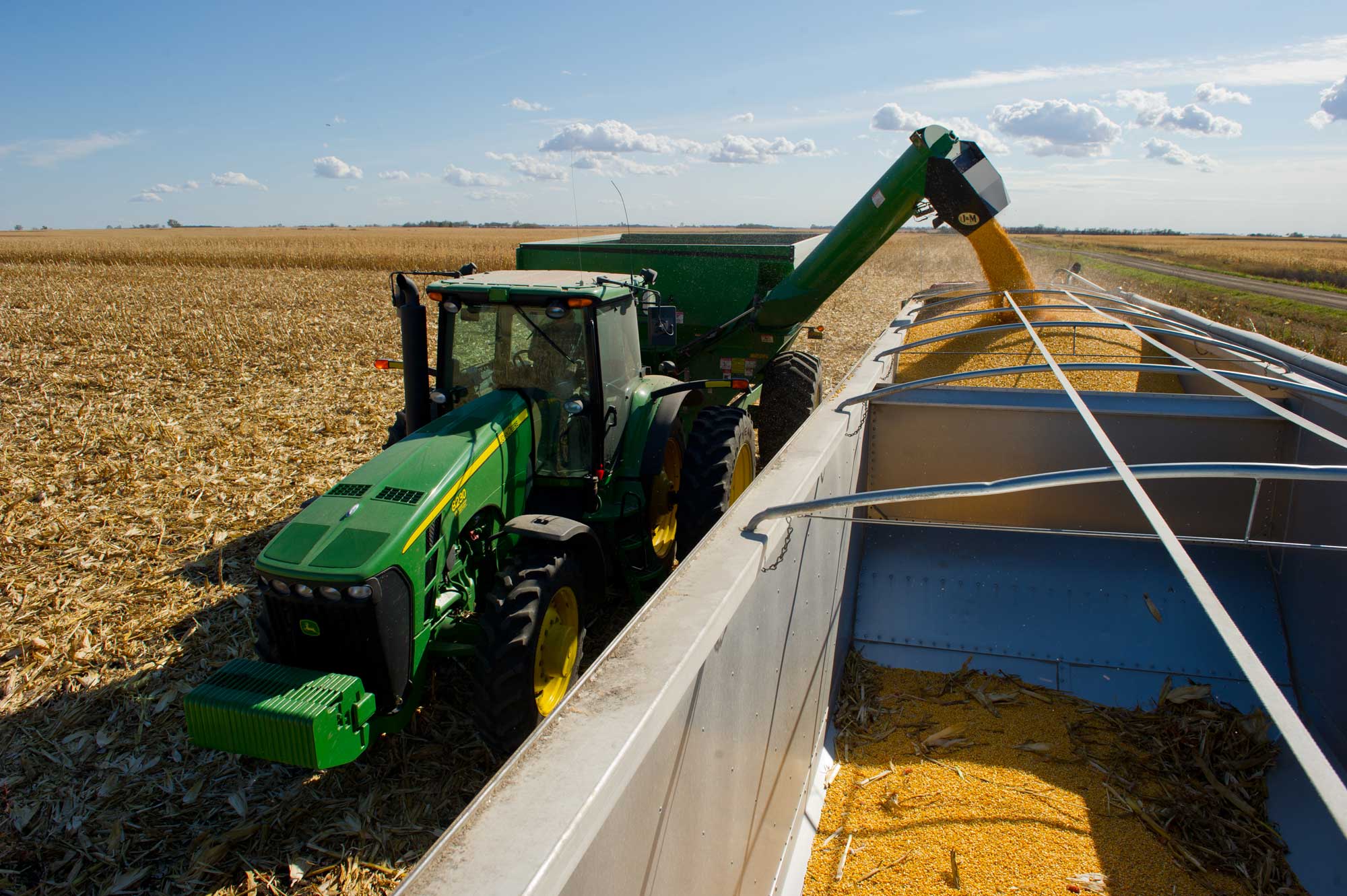 Photograph of a mechanized maize harvest. The photo shows a green tractor with a chute extending up and to the side. The chute is expelling maize kernels into a trailer, which is nearly full.