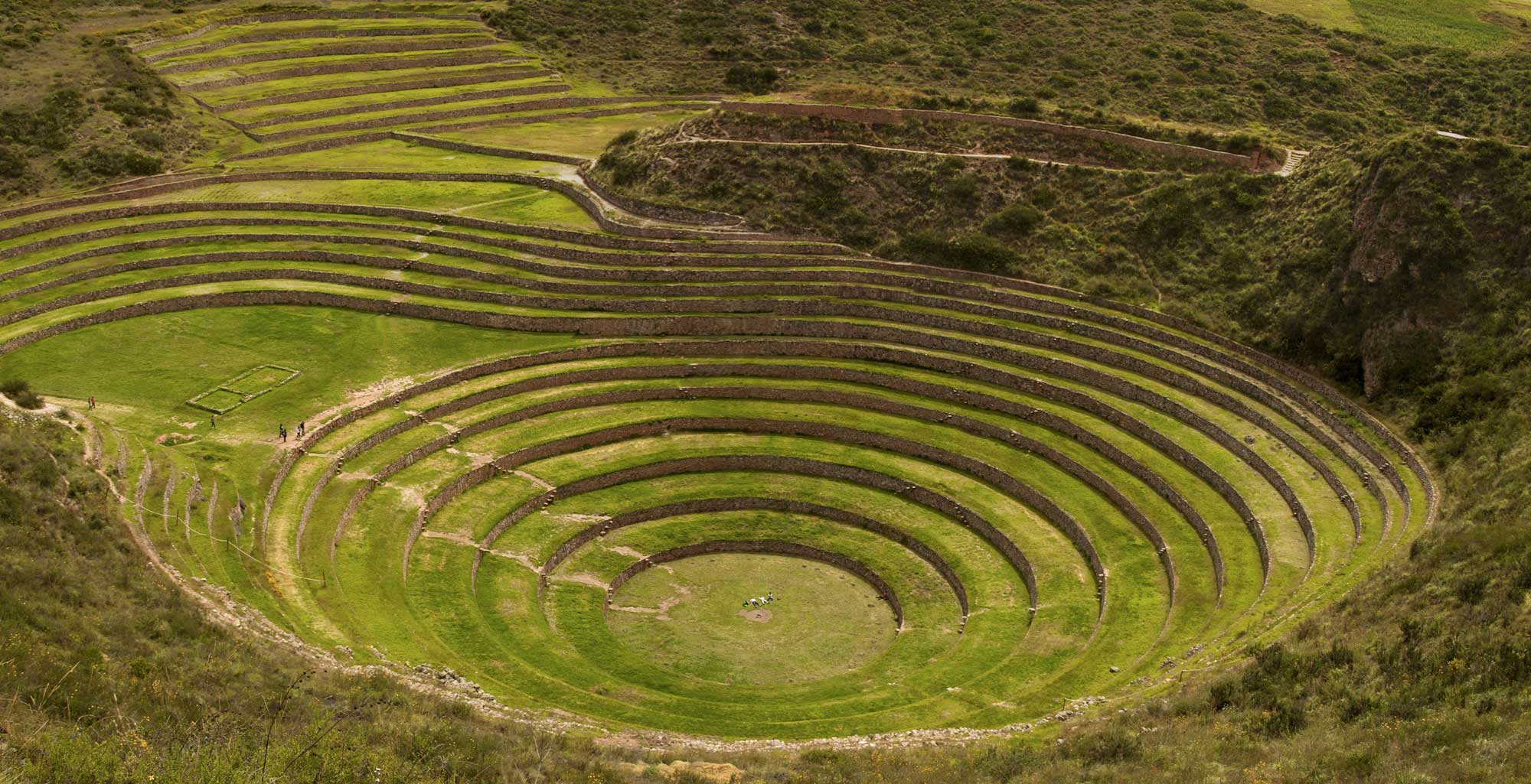 Photograph of a terraced field built by the Incas. The photo shows a field of concentric circular steps, with the central circle the lowest and the outer rings the highest.