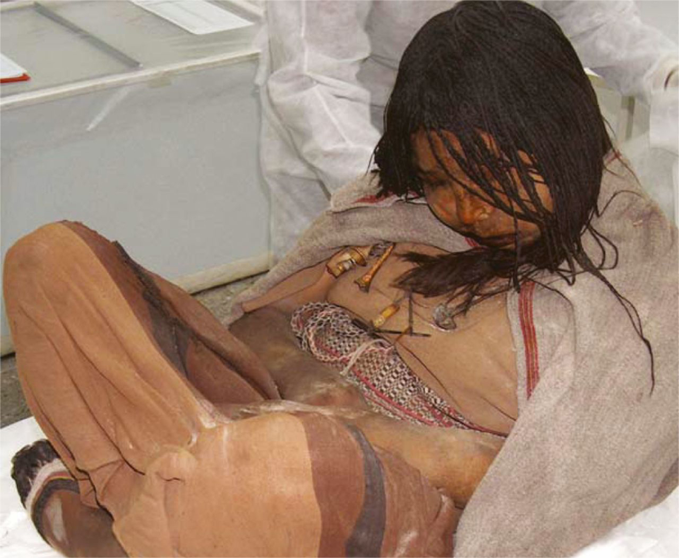 Photograph of the mummy on an Incan girl who was ritually sacrificed in the Andes Mountains of Argentina. The photo shows a girl who is slightly slumped over with bend legs. Her hairs is in small braids and she is wearing a cloth dress with woven belt and a shawl.
