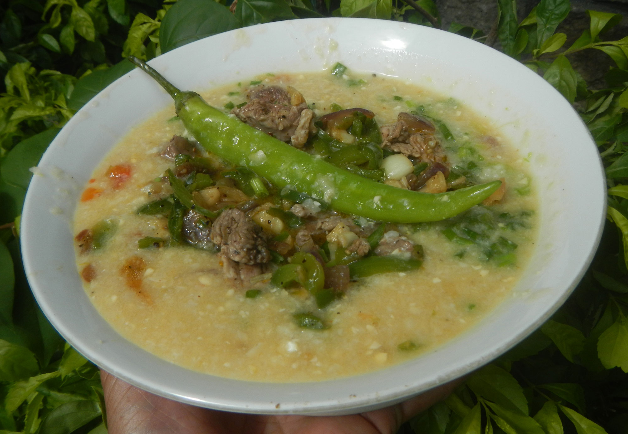 Photograph of a stir fry with waxy corn. The photo shows a yellowish porridge of waxy corn with beef and green peppers in the center and an elongated green pepper (perhaps a hot pepper) sitting on top.