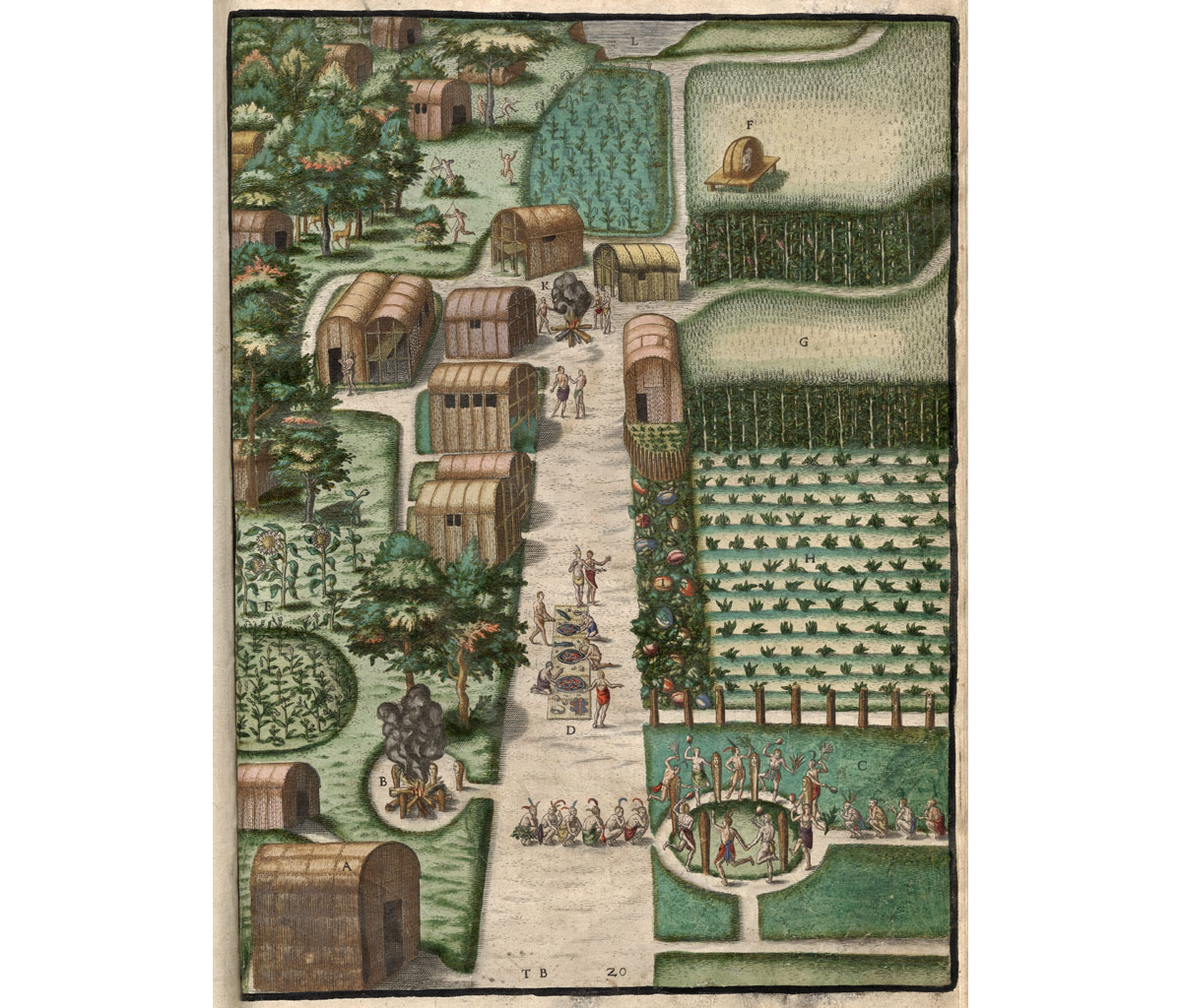 An illustration of the village of Secotan in coastal North Carolina from the late 1500s. The image shows rectangular buildings with rounded roofs arranged along a street. Trees and other plants are shows on the left side of the illustration. On the right are fields of maize in various stages of maturity. In the lower right, people appear to be playing a ball game. Other people can be seen in the main street and in other parts of the image.
