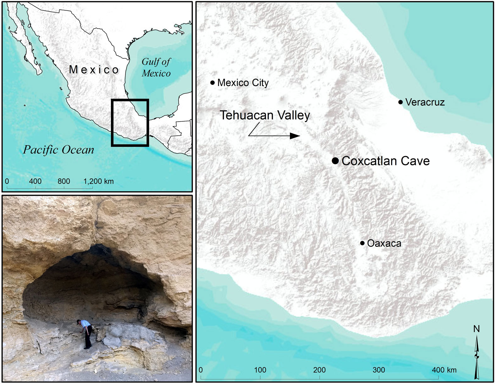 3 Panel figure of Coxcatlán cave in Puebla, Mexico. Panel 1 (top left) shows a relief map of Mexico with a rectangle near the southern part of the country. Panel 2 (right): Enlarged map showing the area of the rectangle in Panel 1. This map is also a relief map, with the Tehuanan Valley south of Mexico City labeled. The Tehuacan Valley runs roughly north-south between Mexico City and Oaxaca. Coxcatlán Cave is labeled in the center of the valley. It is roughly west of Veracruz on the east coast of Mexico. Panel 3: Photograph of Coxcatlán Cave. The photo shows a arched cave entrance in buff-color rock. A person is leaning over in the entrance, with is much taller than the person.