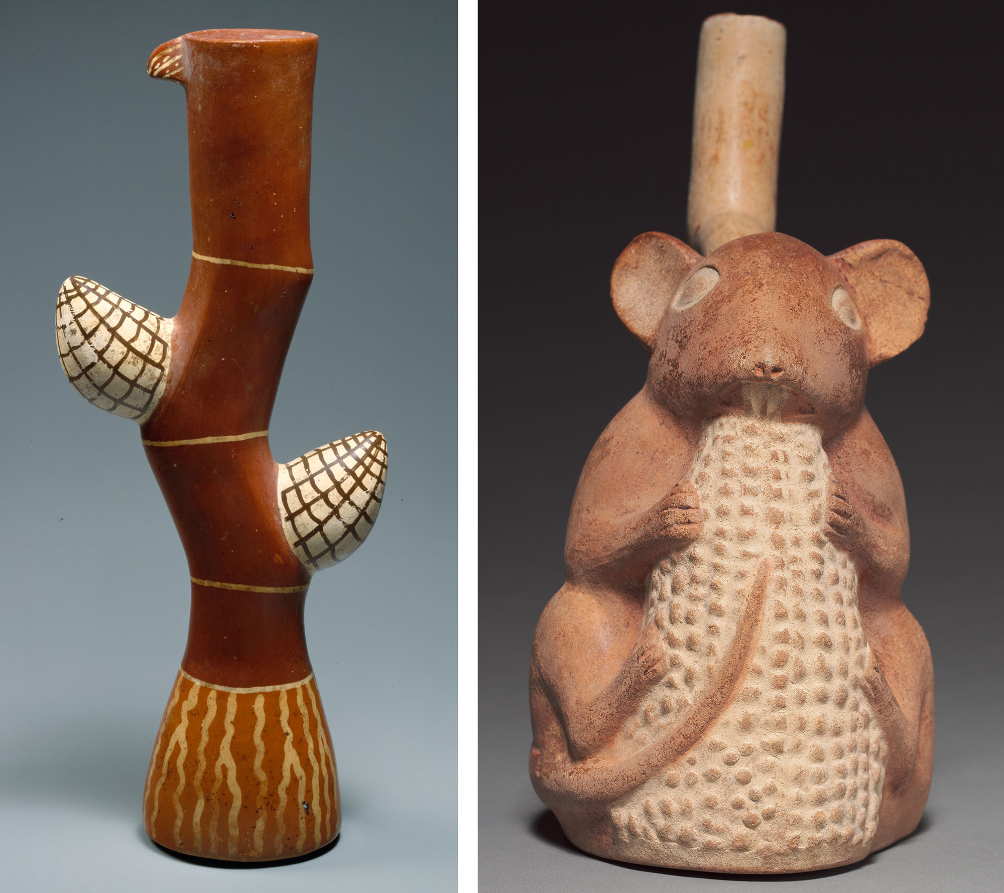 2-panel figure showing photos of ancient ceramics from Peru featuring maize. Panel 1: A vessel shaped like a stalk of maize with two ears. Panel 2: Vessel shaped like a rodent nibbling on an ear of maize.