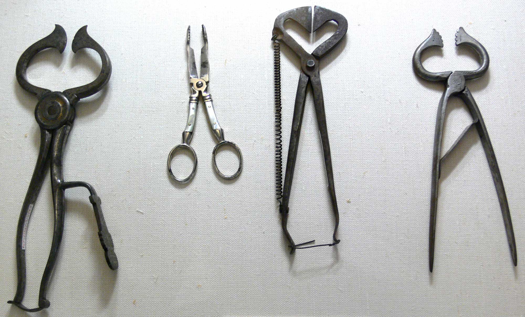 Photograph of sugar nips and sugar tongs. The photo shows three pairs of sugar nips, heavy-duty scissor-like devices for cutting pieces of sugar off of a sugar cone. One much smaller pair of sugar tongs, used for picking up sugar, is also shown.