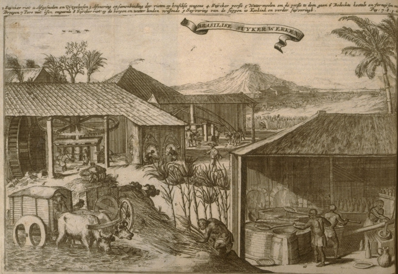 Illustration of sugar milling in Brazil, 1682. The illustration shows various steps in sugar milling, including harvesting, transport of the cane in a cart drawn by oxen, pressing of sugarcane stalks using vertical rollers driven by water or animals, and boiling the syrup.