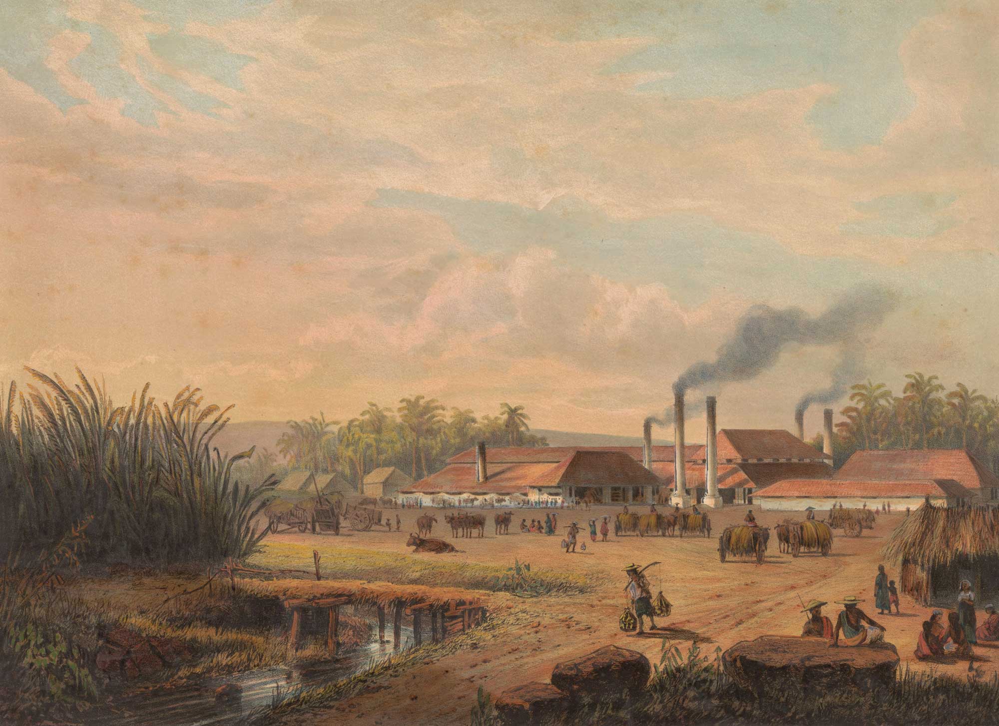 Painting of a sugar refinery on Java dating to about 1865 to 1872. The photo shows white buildings with red roofs and chimneys emitting smoke in the background. In the foreground, wagons can be seen transporting cut sugarcane to the refinery.