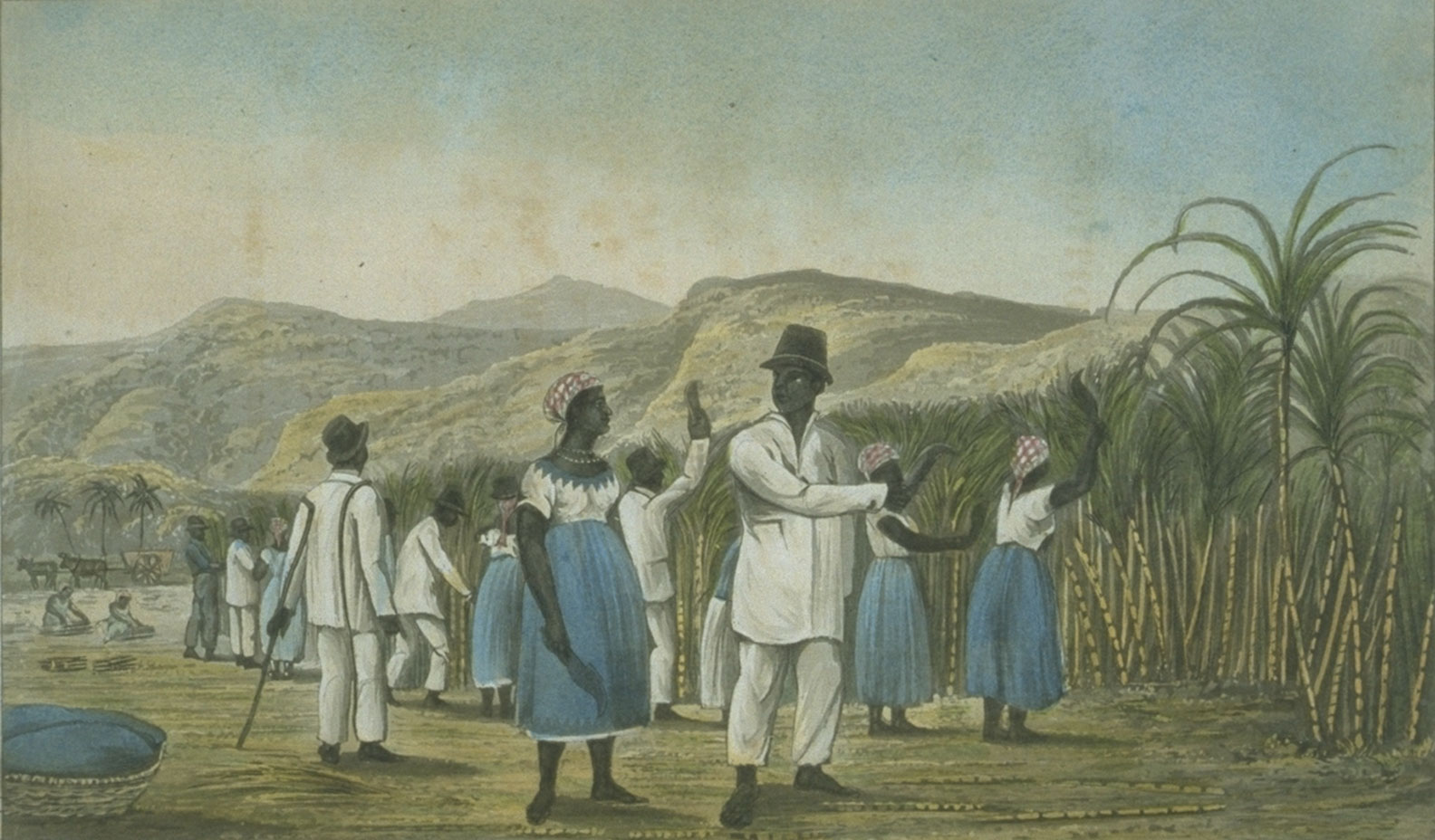 Color illustration of enslaved Black people harvesting sugarcane in Jamaica from the 1820s. The illustration shows men in white long-sleeved shirts and long pants and wearing broad-brimmed hats as well as women in white shirts and blue skirts with their hair wrapped in kerchiefs. Some of the people are cutting cane using curved blades, whereas one man and one woman stand in the foreground, possibly talking. A man with his back to the viewer, a slave driver, holds a pole and is watching over the other slaves.