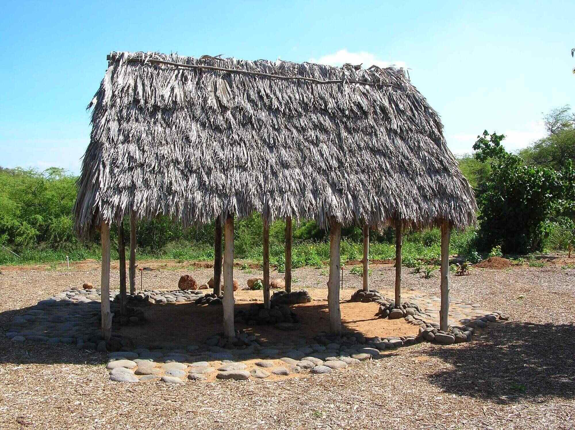 Photograph of an open-sided shelter at Maui Nui Botanical Garden, Maui, Hawaiian islands, with thatched roof made of tanglehead. The photo shows a pavilion supported by rough-hewn wood poles with a peaked roof thatched with dried grass.