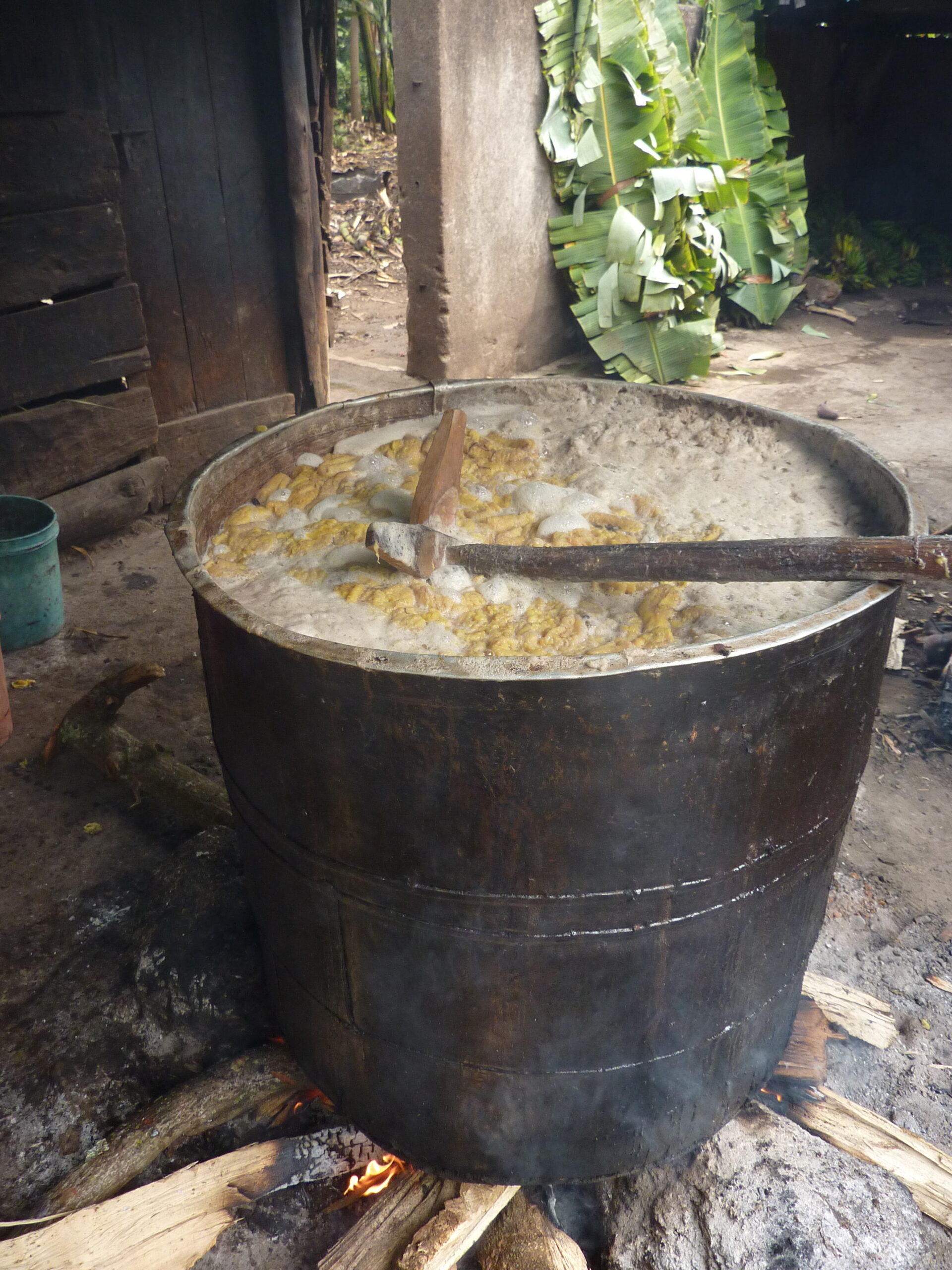 Photograph of millet in a large pot of hot water during the pombe brewing process. The pot is black and cylindrical in shape; there is wood burning underneath it and a wood mixer propped on its edge.