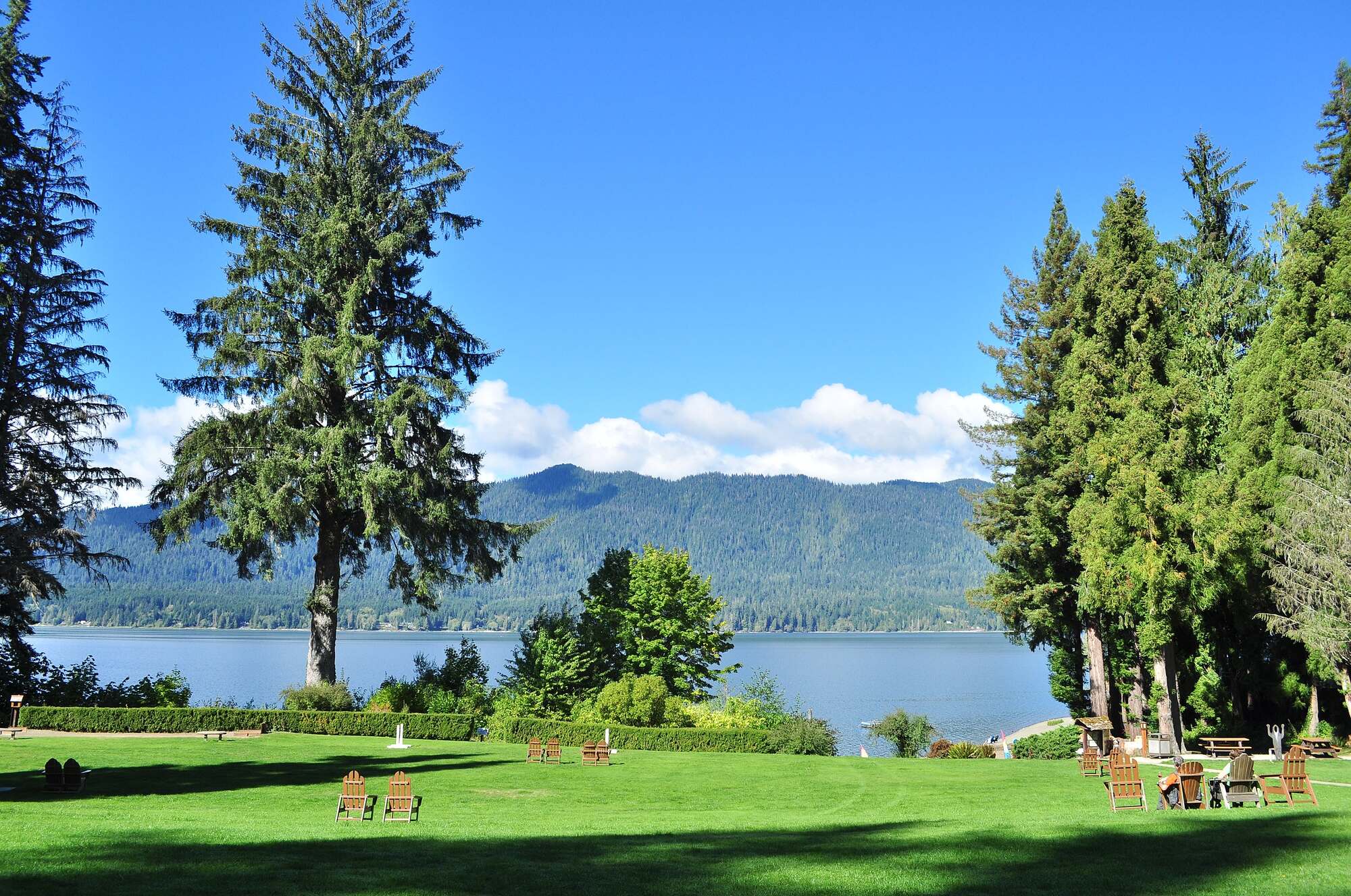 Photograph of a lakeside lawn in Washington state, U.S.A. The photo shows a mowed lawn with scattered chairs in the foreground, with a grow of trimmed hedges and scattered conifers at the edge. On the other side of the lawn, the water of a lake can be seen. A forested hill or mountain rises on the other side of the lake.