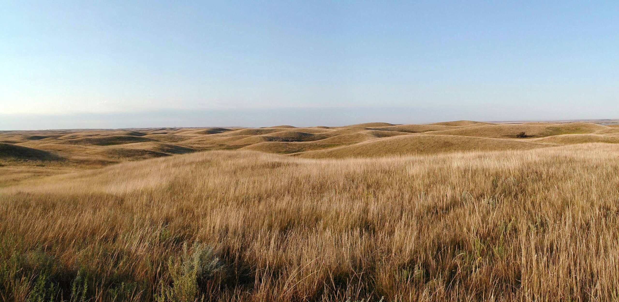 Photograph of a prairie landscape with tall grasses and rolling hills.