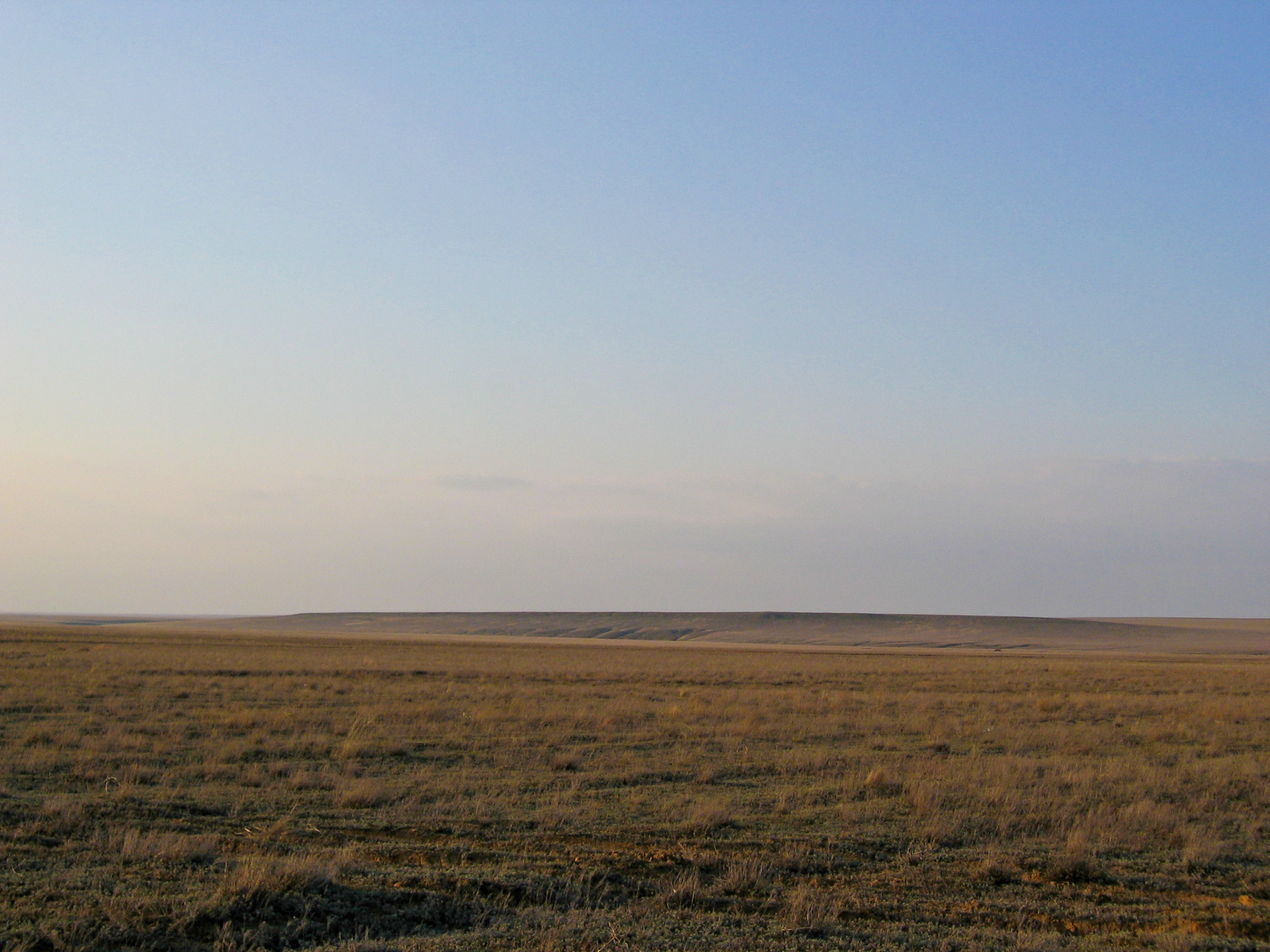Photograph of a shortgrass steppe landscape in western Kazakhstan. The photo shows a flat landscape with a long, low hill on the horizon. 