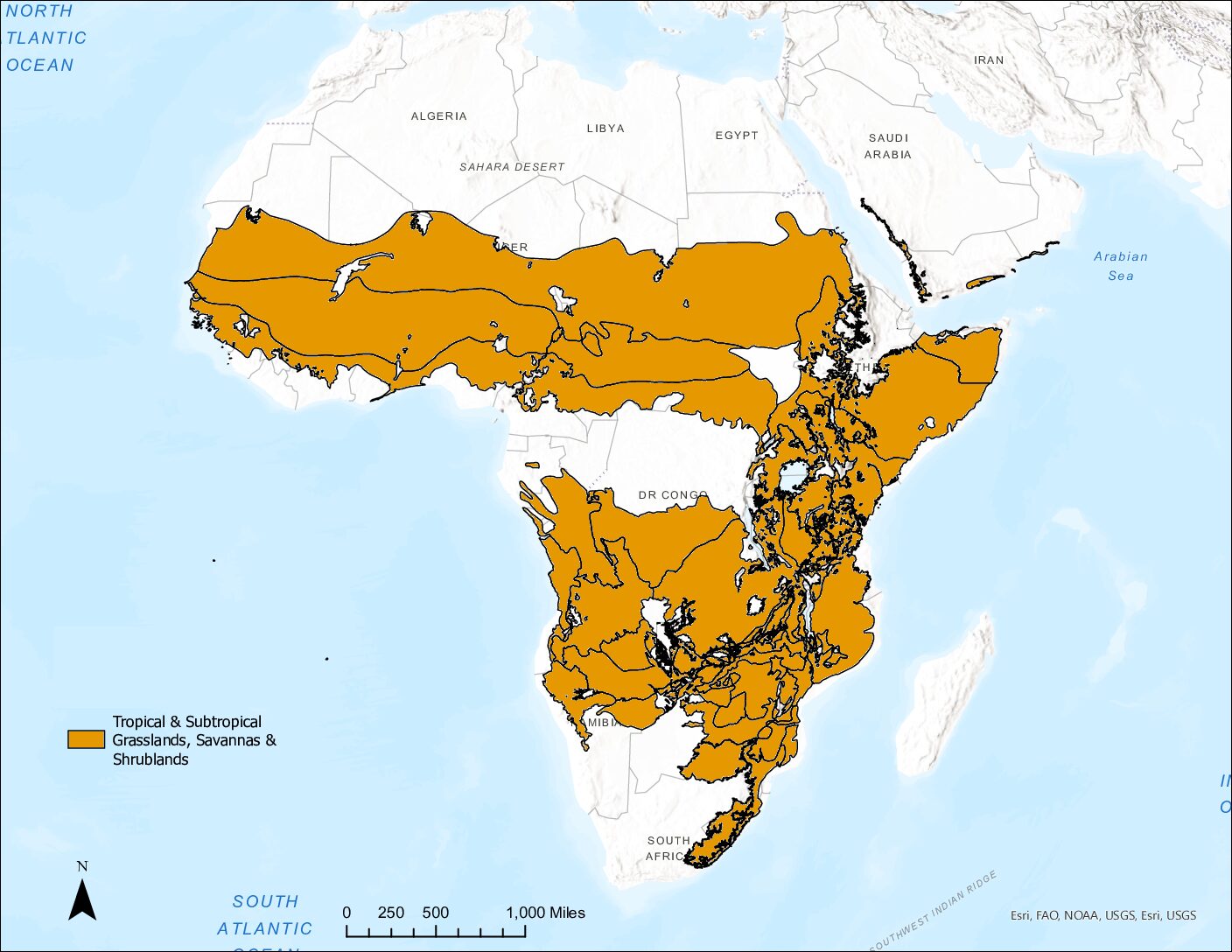 Map of Africa with areas of tropical and subtropical grasslands, savannas, and shrublands shaded orange. Much of the continent south of the Sahara Desert is shaded orange, except for a portion around the Democratic Republic of the Congo and the southern tip of the continent.