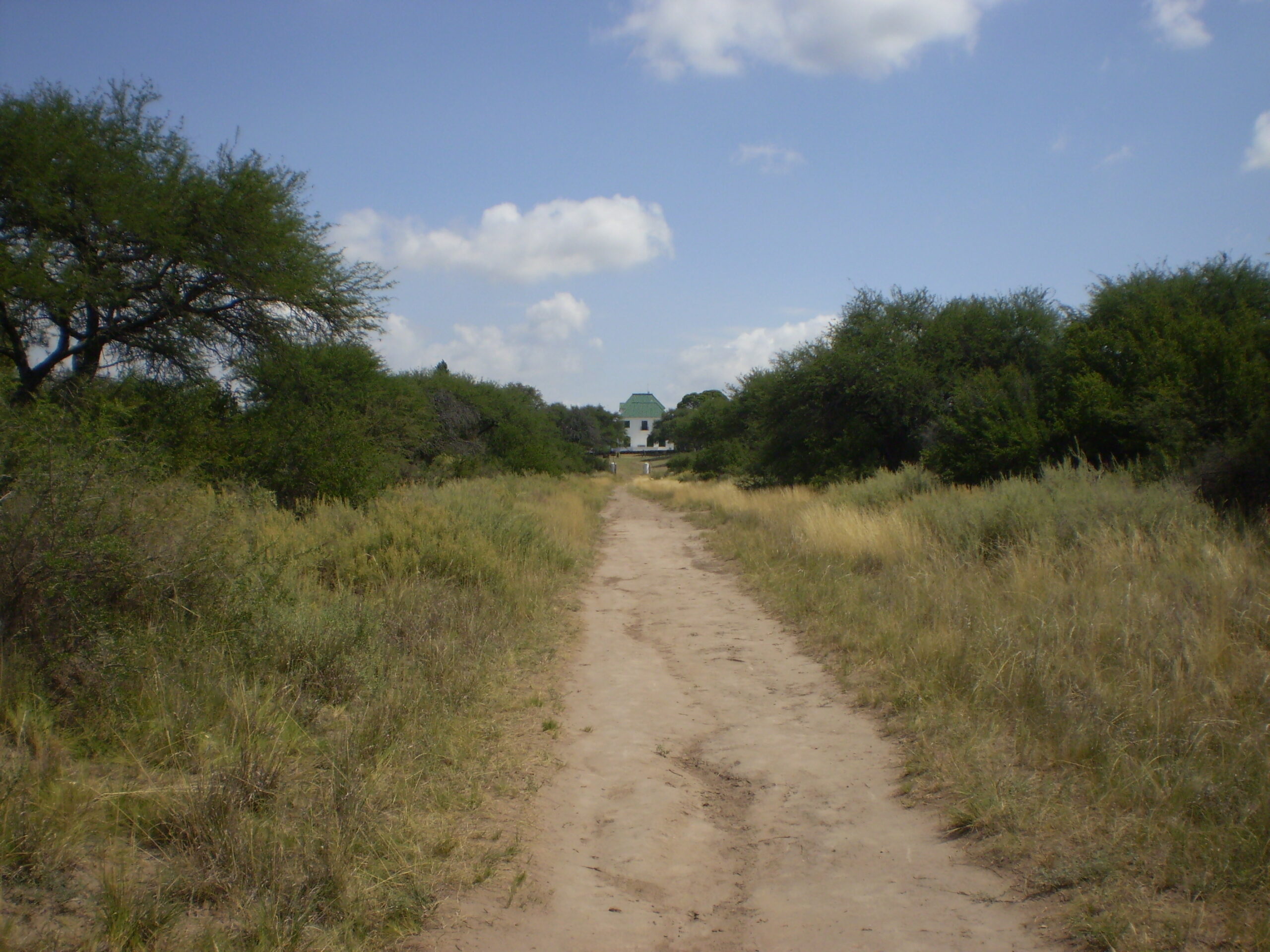 Photograph of pampas in La Pampa, Argentina. The photo shows a sandy trail cutting straight through the near-center of the image from front to horizon. Grasses are growing on either side of the trail, with trees flanking the grasses. A white building with a green roof can be seen at the end of the trail.
