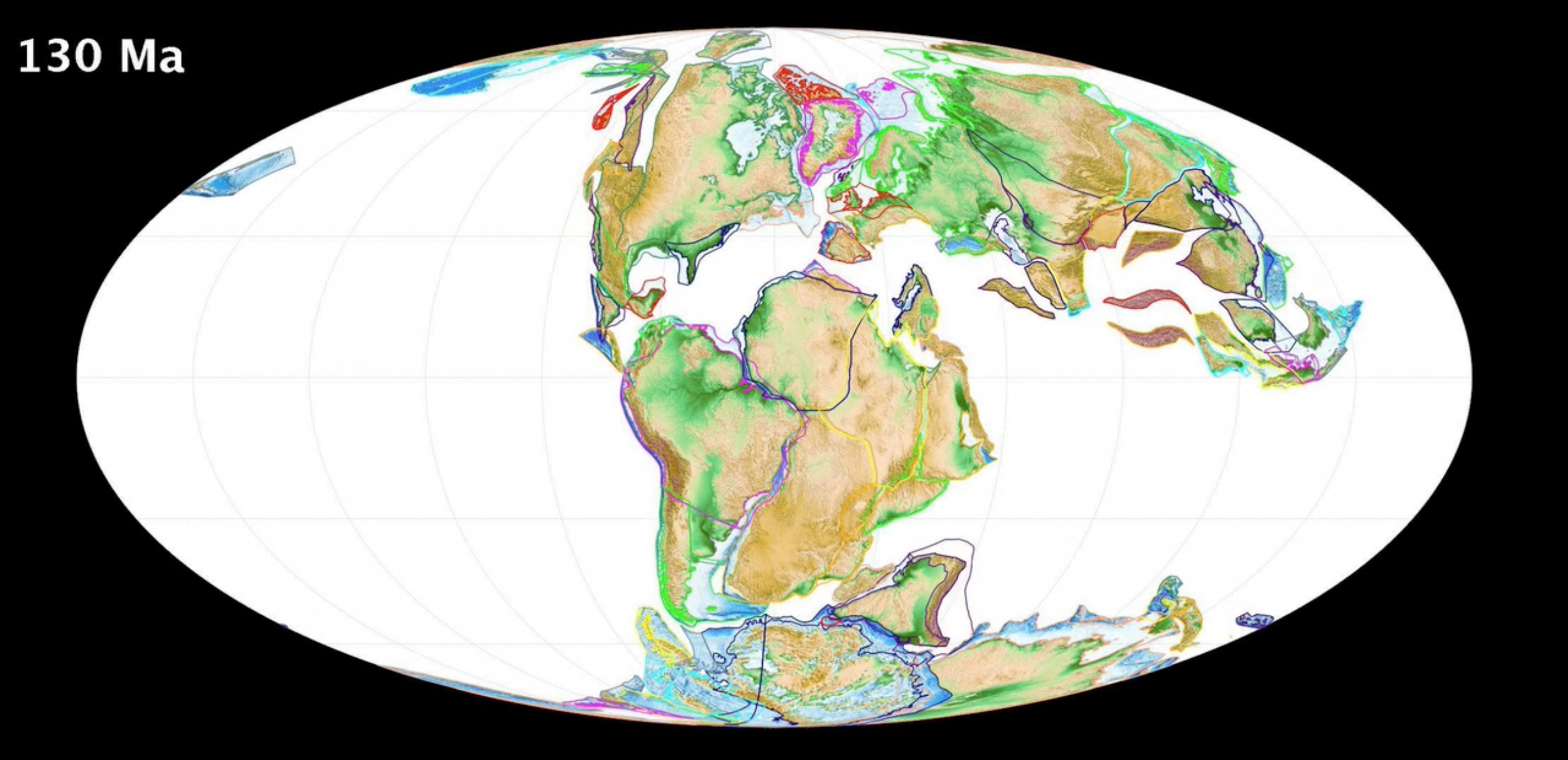 A map of the world's continents 130 million years ago during the Early Cretaceous. The southern continents (South America, Africa, Antarctica, Australia, and the Indian subcontinent) form a supercontinent called Gondwana. The northern continents (North America, Europe, and Asia minus India are conndcted in another continent called Laurasia.