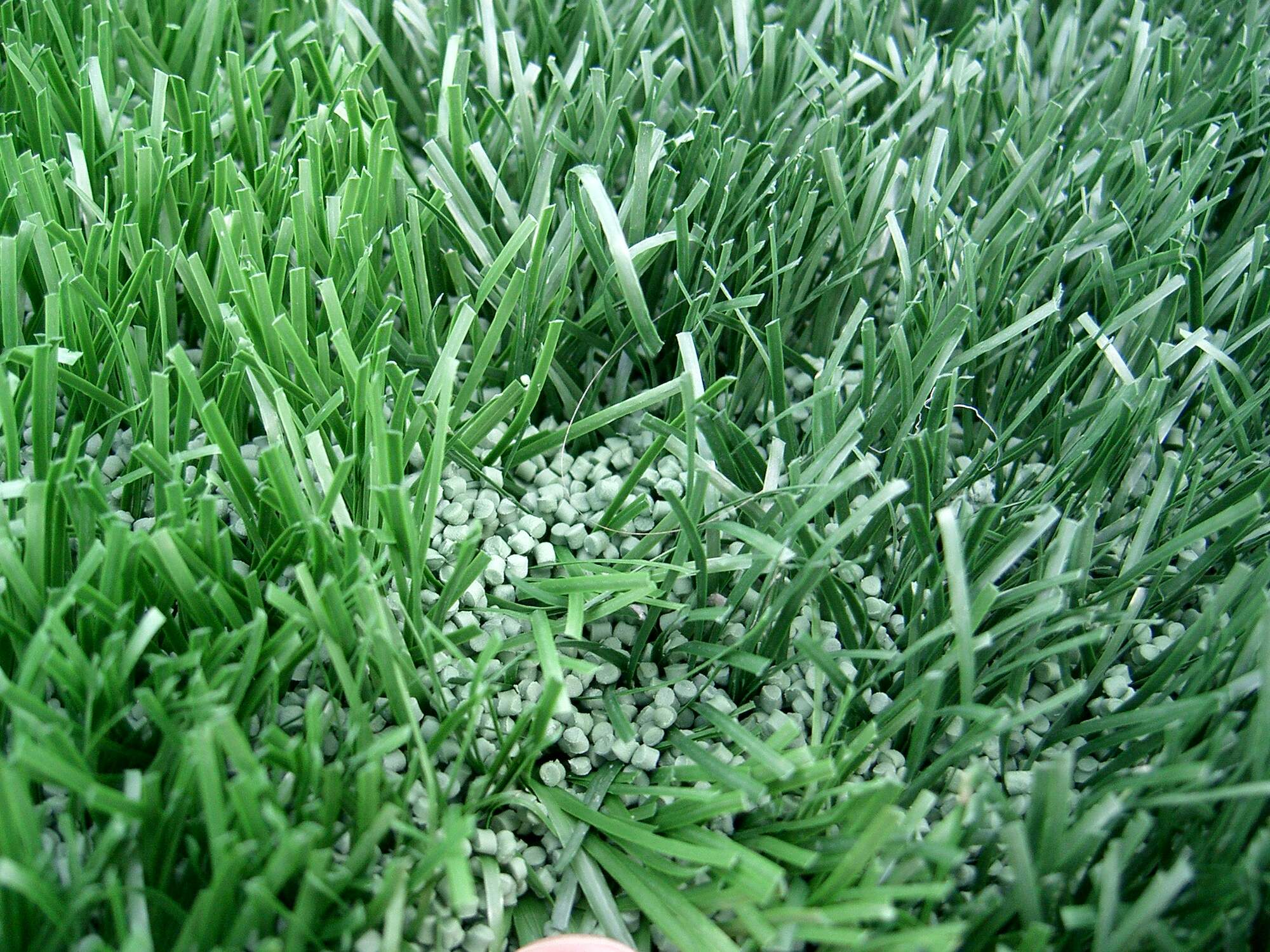 Photograph showing a detail of synthetic turf. The artificial grass blades and infill can be seen. The infill looks like small blue-green pellets.