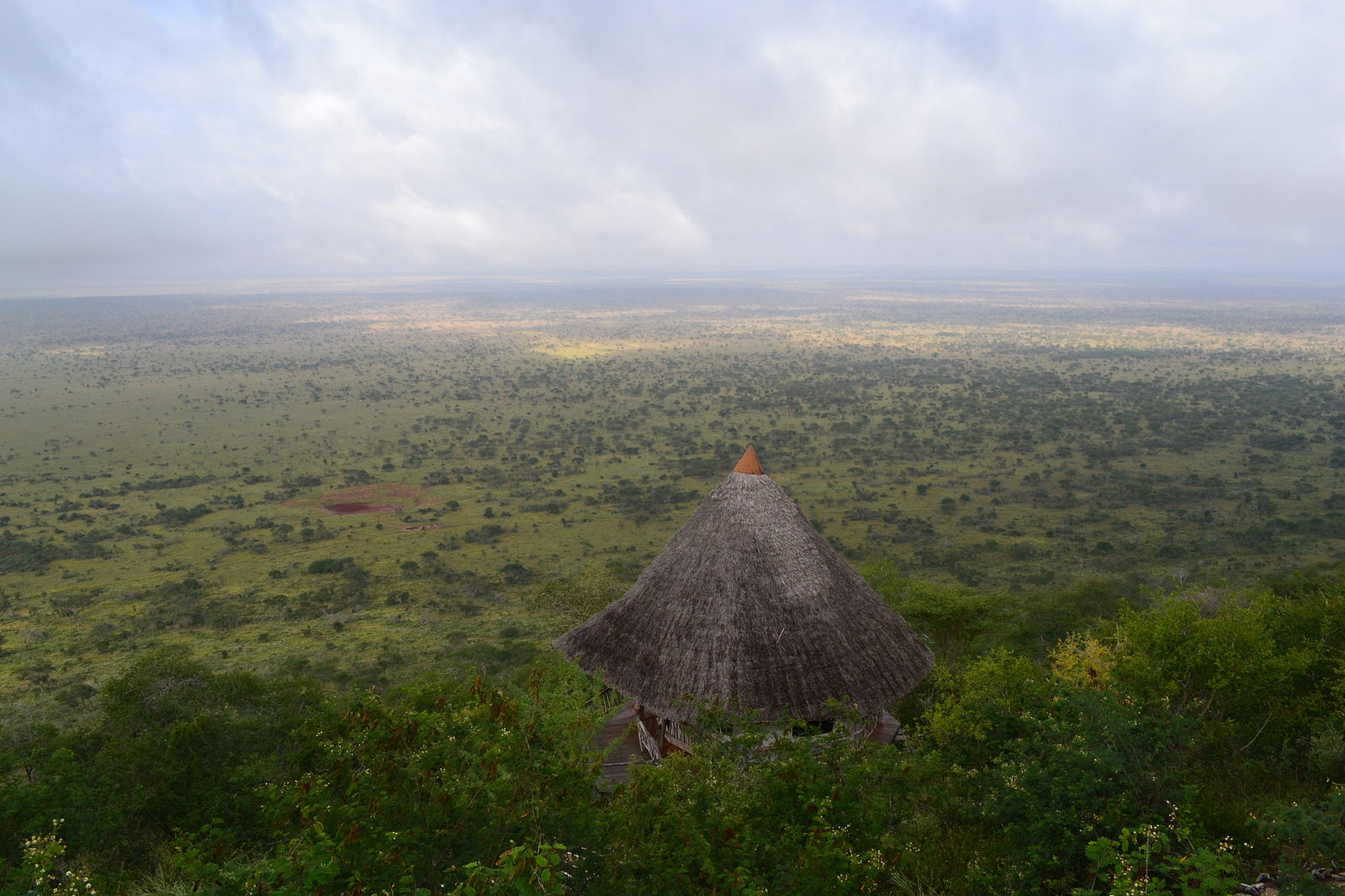 Photograph of African tropical savanna, LUMO Community Wildlife Sanctuary, Kenya. The photo shows grassland with groups of shrubs covering a landscape with slightly varying topography. The thatched, conical roof of a hut can be seen among shrubs in the foreground.