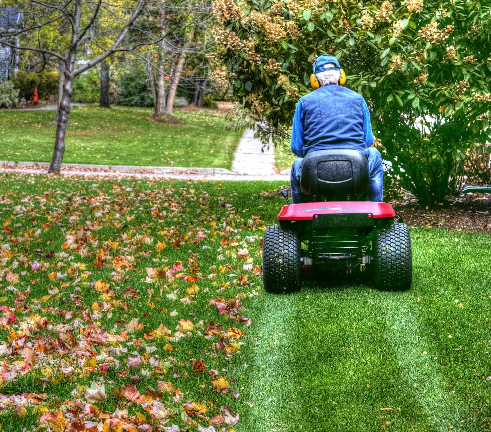 Photograph of a man using gas-powered lawn mower to mow the grass and chop up fallen leaves.