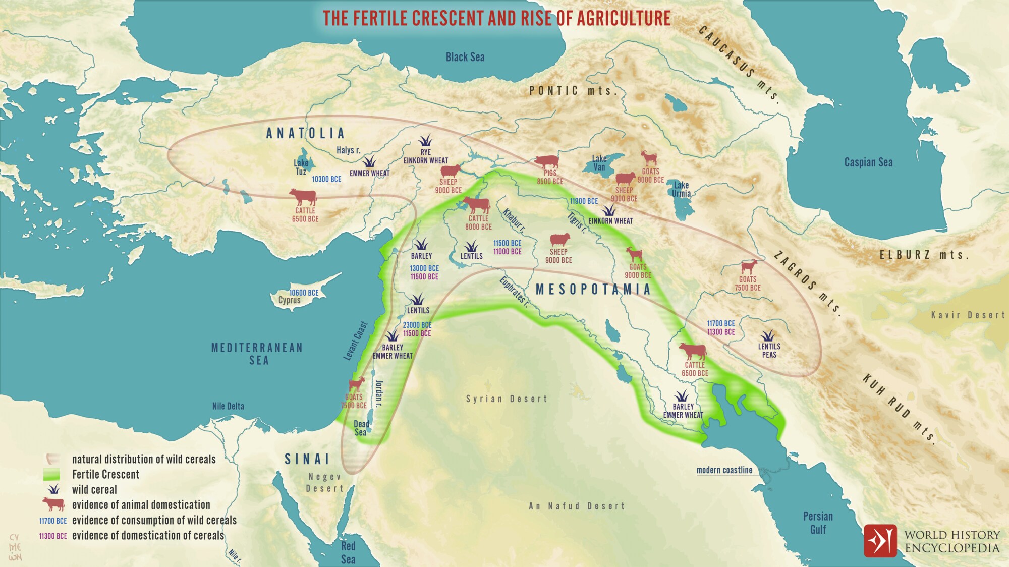 Map of the fertile crescent showing the distribution of the grains wheat, rye, and barley was harvested.