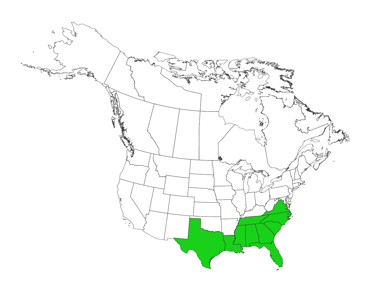 A map of the United States and Canada (excluding Hawaii). Several states in the Southeastern US are colored neon green to show the distribution of cogongrass, while the others are white. The green states are Texas, Louisiana, Mississippi, Alabama, Georgia, Florida, Tennessee, South Carolina, North Carolina, and Virginia.