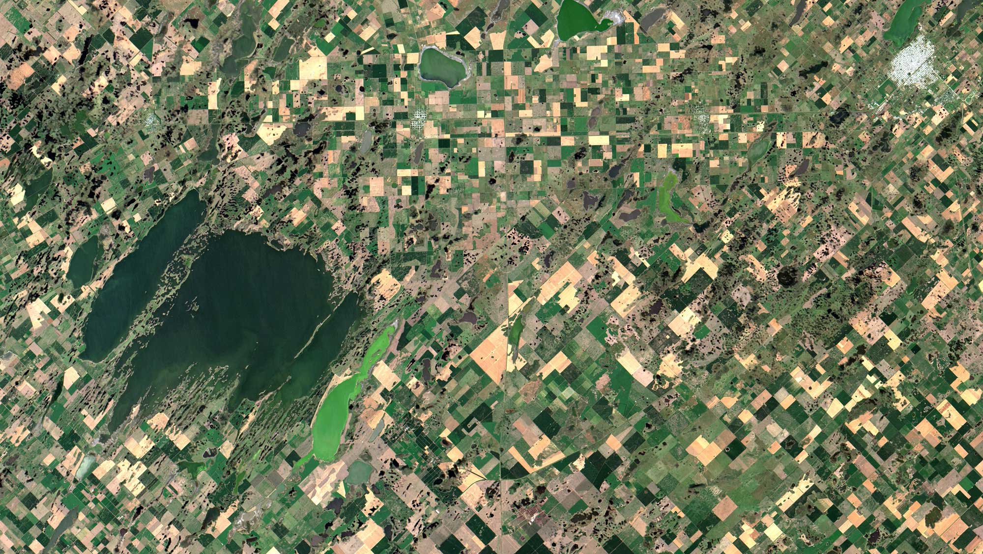 Satellite image of the humid pampas region of Cordoba, Argentina. The photo shows a landscape with many cultivated fields of various shapes as well as a large lake system on the left.