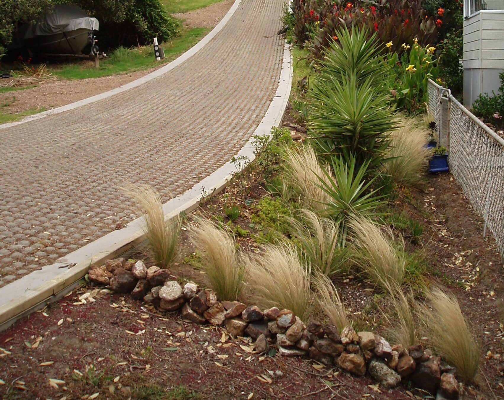 Photograph of Mexican feather grass planted next to a path.
