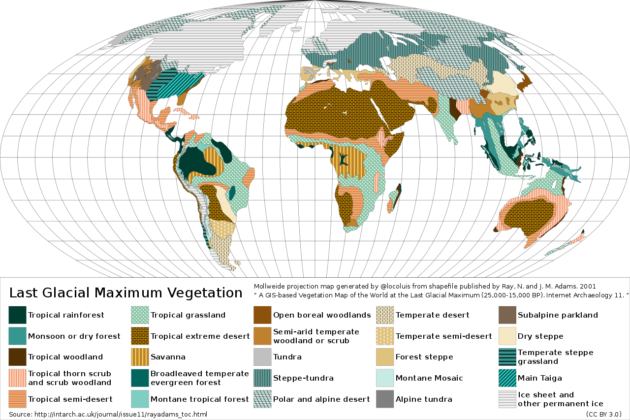 A map of the world showing vegetation types during the last glacial maximum. The mammoth-steppe or steppe-tundra covers large parts of Eurasia.