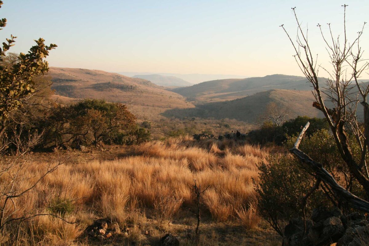 Photograph of the Malapa Valley in South Africa. The photo shows a small field with dry grass and some shrubs in the foreground, with rounded hills rising in the background. The whole landscape appears relatively dry.