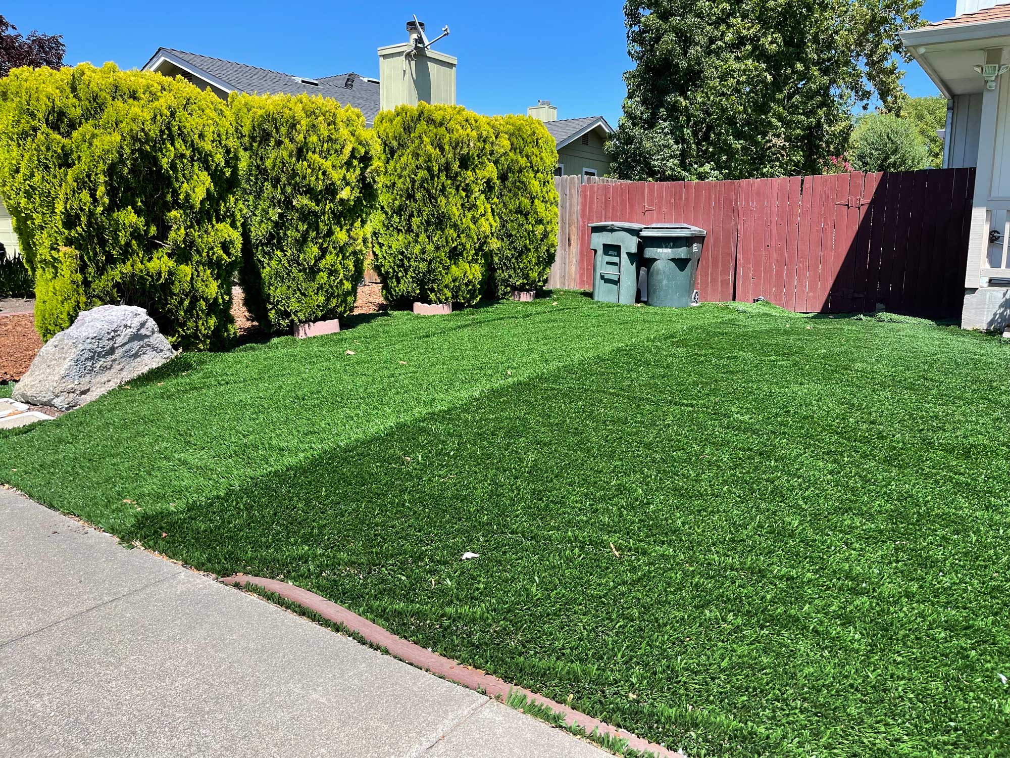 Photograph of an artificial turf lawn in a yard in Sonoma, California. The photo shows part of a yard with two sections of turf, one noticeably lighter than the other. A row of hedges borders on edge of the lawn, a fence another, and a sidewalk is in front of it.