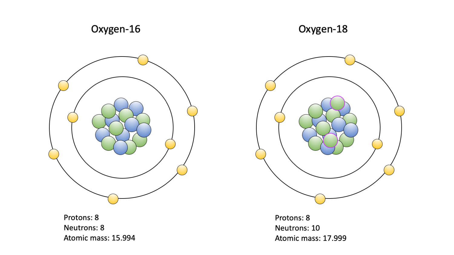 Two diagrams of oxygen isotopes. The left diagram shows oxygen-16. It consists of a central nucleus with 8 protons and 8 neutrons surrounded by to circular orbits with electrons. The inner orbit has two electrons, the outer orbit has six electrons. The right diagram shows oxygen-18. It looks the same as oxygen-16 except that it has two more neutrons in its nucleus.