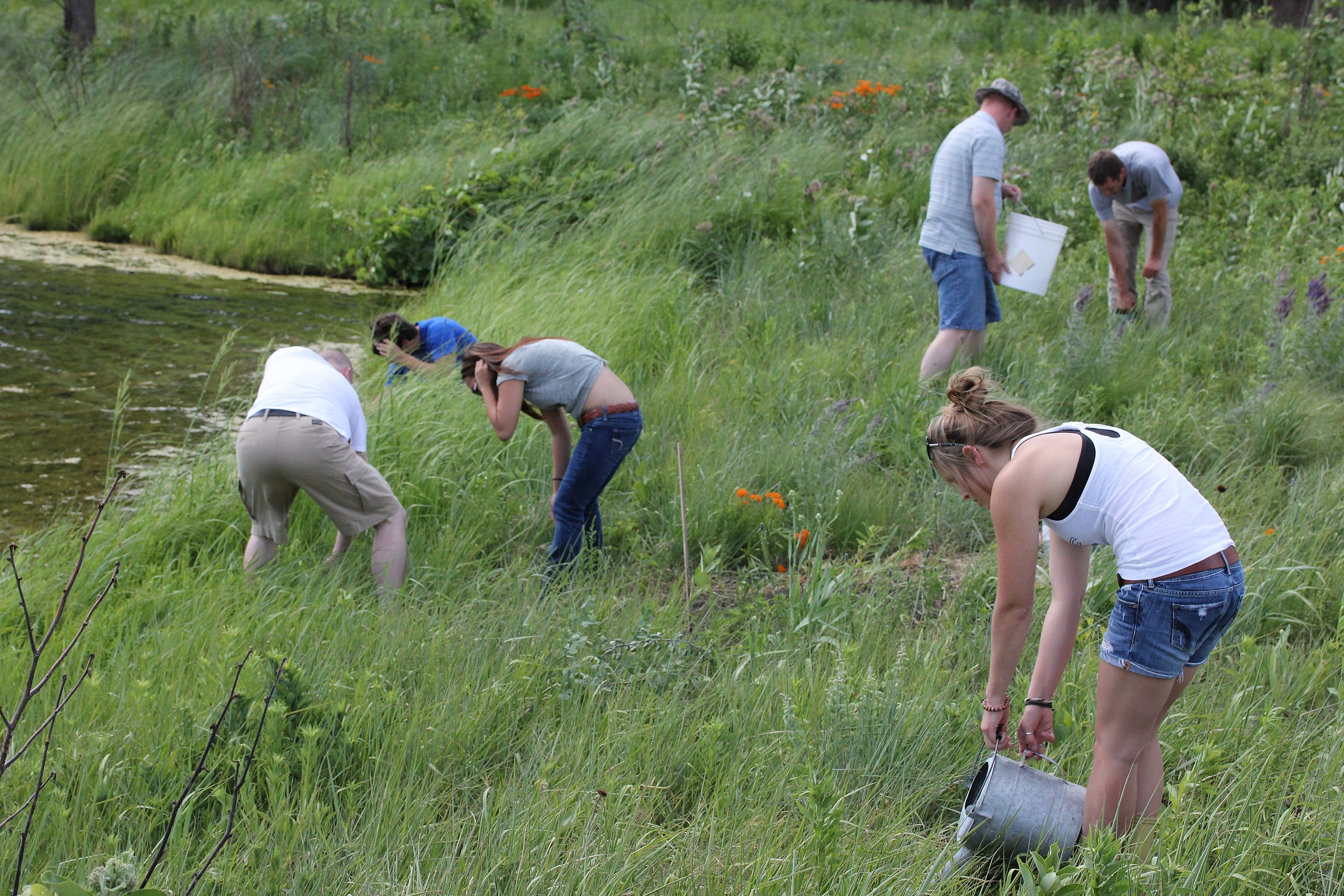 Backyard & schoolyard wildlife habitats - Earth@Home: Evolution