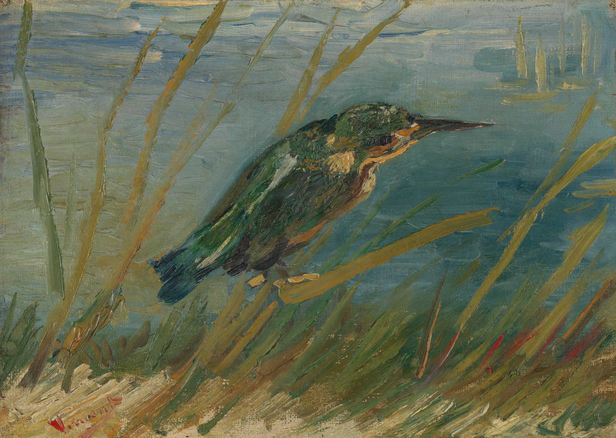 Color photograph of a painting of a river kingfisher by Vincent Van Gogh, painted in 1887. The photo shows an impressionistic painting of a kingfisher sitting in grasses or reeds.