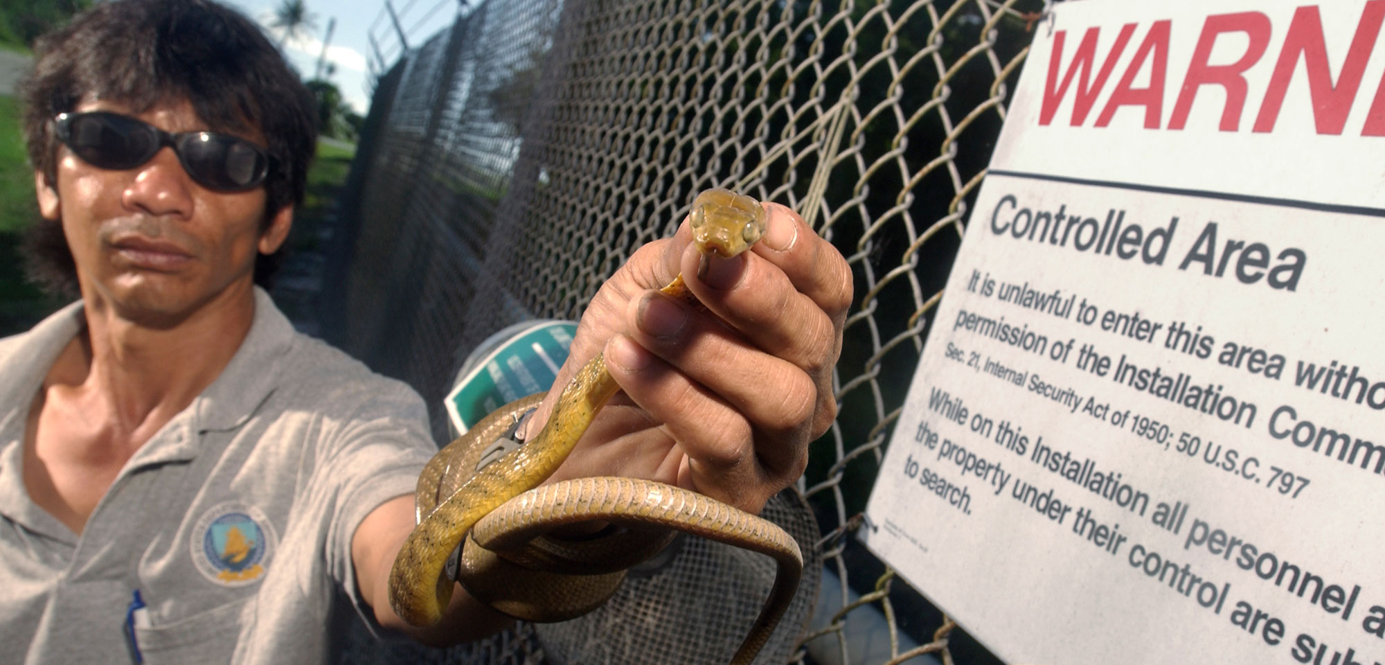 Photograph of a man wearing sunglasses and holding a brown tree snake up toward the camera. The man is standing next to a chain-link fence with a warning sign on it. The sign says: "Warning. Controlled area. It is unlawful to enter this area without permission of the Installation Commission. White on this Installation all personnel and the property under their control are subject to search."