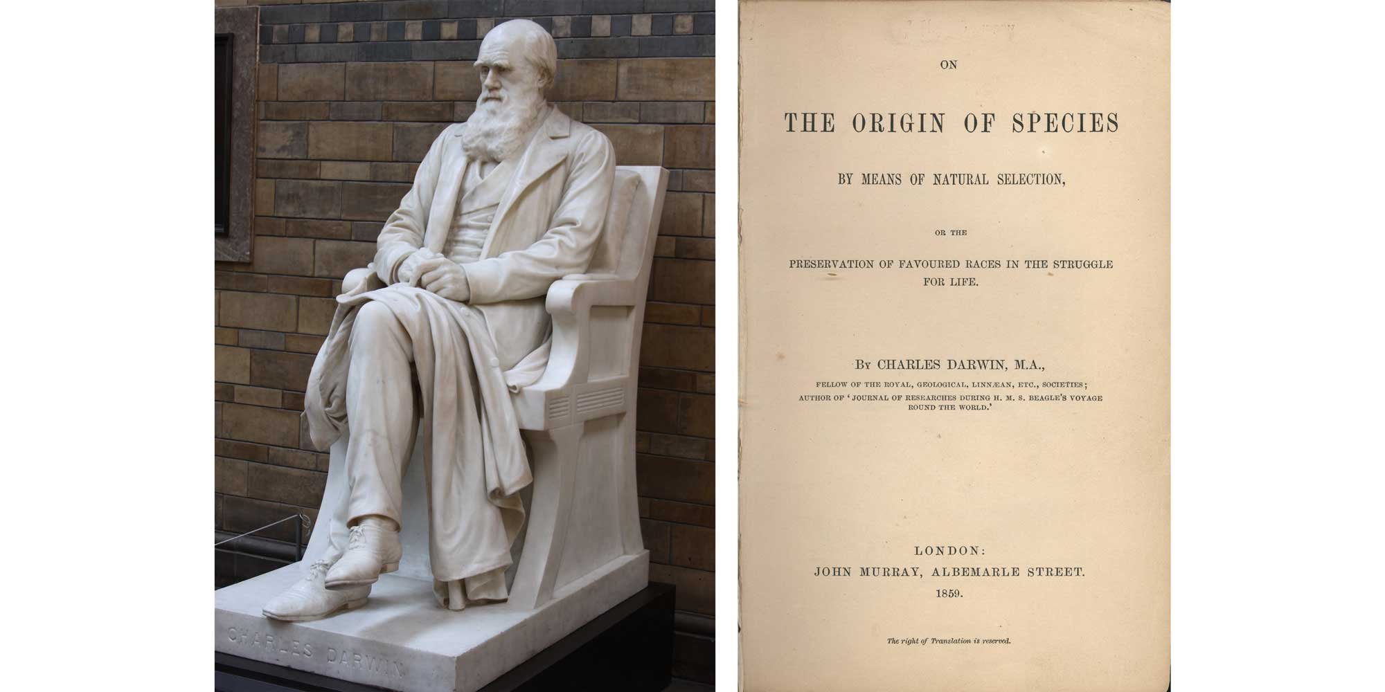 Image showing a statue of Darwin and the title page of the Origin of Species.
